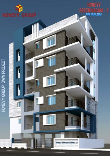 Honeyy Sreenivasam -2 project details - PM Palem